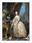 Marie Leszczinska, Queen of France by Charles van Loo