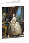 Marie Leszczinska, Queen of France by Charles van Loo