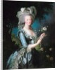 Marie-Antoinette with a Rose by Elisabeth Vigee-Lebrun