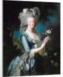 Marie-Antoinette with a Rose by Elisabeth Vigee-Lebrun