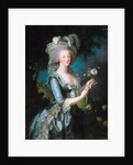 Marie-Antoinette with a Rose by Elisabeth Vigee-Lebrun