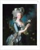 Marie-Antoinette with a Rose by Elisabeth Vigee-Lebrun