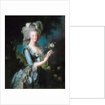 Marie-Antoinette with a Rose by Elisabeth Vigee-Lebrun