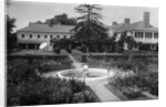 Whitney Estate by Anonymous