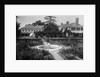 Whitney Estate by Anonymous