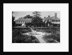 Whitney Estate by Anonymous