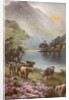 Scene of countryside in Scotland by Anonymous