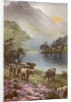 Scene of countryside in Scotland by Anonymous