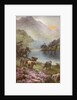 Scene of countryside in Scotland by Anonymous