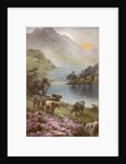 Scene of countryside in Scotland by Anonymous