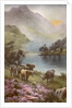Scene of countryside in Scotland by Anonymous