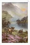 Scene of countryside in Scotland by Anonymous