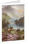 Scene of countryside in Scotland by Anonymous