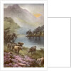 Scene of countryside in Scotland by Anonymous