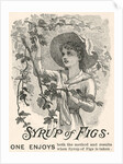 Syrup of Figs advertisement by Anonymous