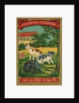 Thai cotton label with cats by Anonymous