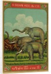 Thai cotton label with elephants by Anonymous