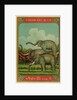 Thai cotton label with elephants by Anonymous