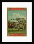 Thai cotton label with elephants by Anonymous