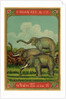 Thai cotton label with elephants by Anonymous