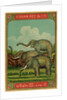 Thai cotton label with elephants by Anonymous