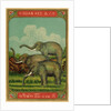 Thai cotton label with elephants by Anonymous