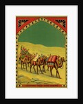 Czech English cotton label with caravan of camels by Anonymous