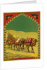 Czech English cotton label with caravan of camels by Anonymous