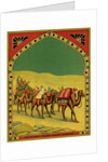 Czech English cotton label with caravan of camels by Anonymous