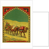 Czech English cotton label with caravan of camels by Anonymous