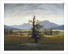 The Solitary Tree (Village Landscape in Morning Light) by Caspar David Friedrich