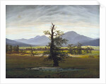 The Solitary Tree (Village Landscape in Morning Light) by Caspar David Friedrich