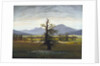 The Solitary Tree (Village Landscape in Morning Light) by Caspar David Friedrich