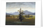The Solitary Tree (Village Landscape in Morning Light) by Caspar David Friedrich