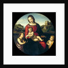 Tondo of the Virgin and Child with John the Baptist and a Holy Boy (The Madonna Terrranuova) by Raphael