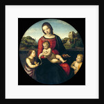 Tondo of the Virgin and Child with John the Baptist and a Holy Boy (The Madonna Terrranuova) by Raphael