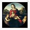 Tondo of the Virgin and Child with John the Baptist and a Holy Boy (The Madonna Terrranuova) by Raphael