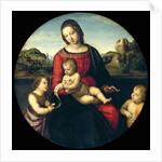 Tondo of the Virgin and Child with John the Baptist and a Holy Boy (The Madonna Terrranuova) by Raphael