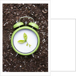 Eco friendly green concepts by Anonymous