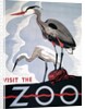 Visit the Zoo poster with two herons by Anonymous
