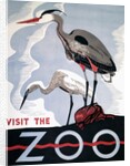 Visit the Zoo poster with two herons by Anonymous