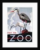 Visit the Zoo poster with two herons by Anonymous