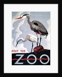 Visit the Zoo poster with two herons by Anonymous