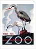 Visit the Zoo poster with two herons by Anonymous