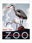 Visit the Zoo poster with two herons by Anonymous