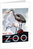 Visit the Zoo poster with two herons by Anonymous