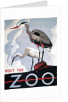 Visit the Zoo poster with two herons by Anonymous