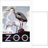 Visit the Zoo poster with two herons by Anonymous