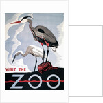 Visit the Zoo poster with two herons by Anonymous