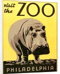 Visit the Zoo poster with hippopotamus by Anonymous